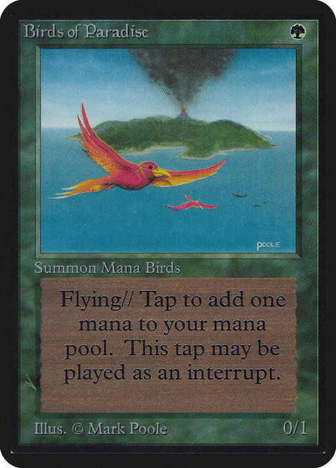 Birds of Paradise — Limited Edition Alpha
