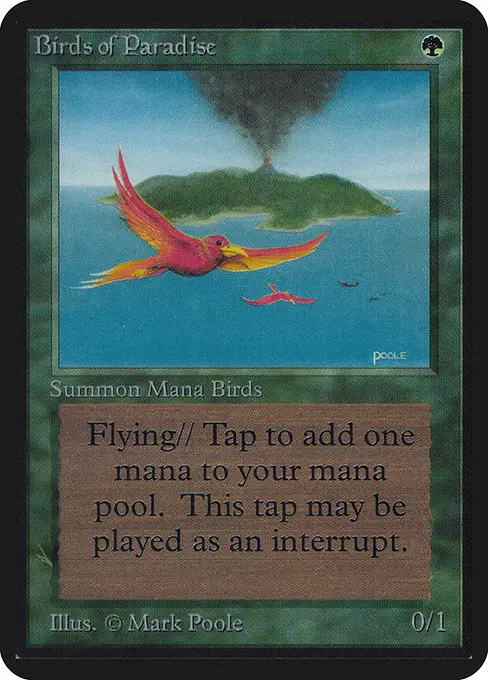 Birds of Paradise — Limited Edition Alpha