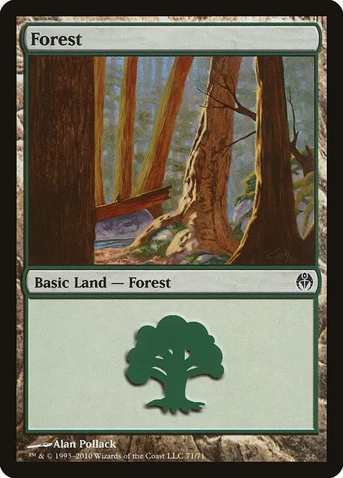 Forest