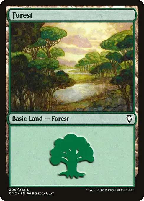 Forest