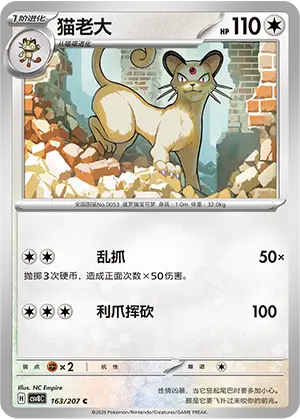 猫老大