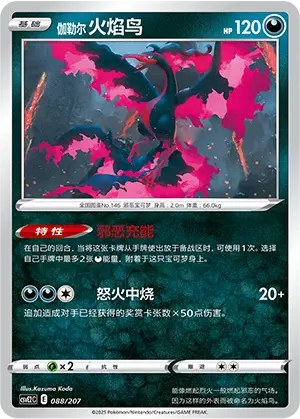 伽勒尔 火焰鸟
