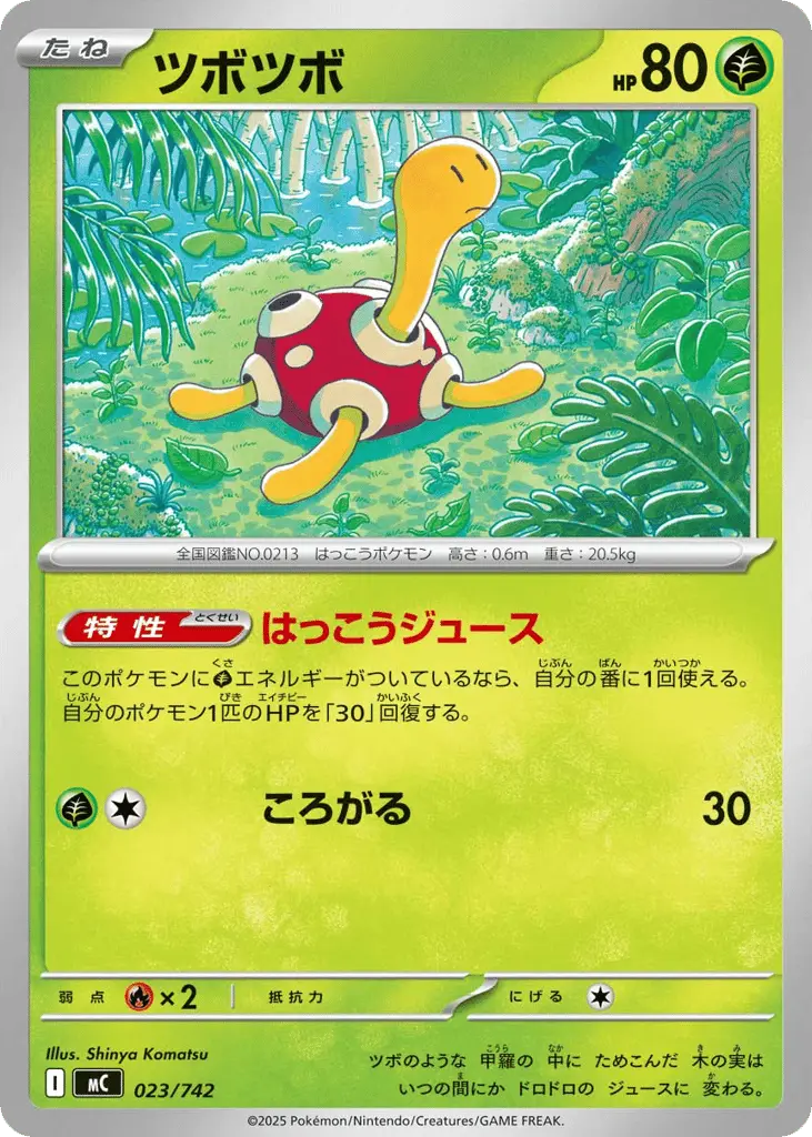 Shuckle [Mirror Holo]