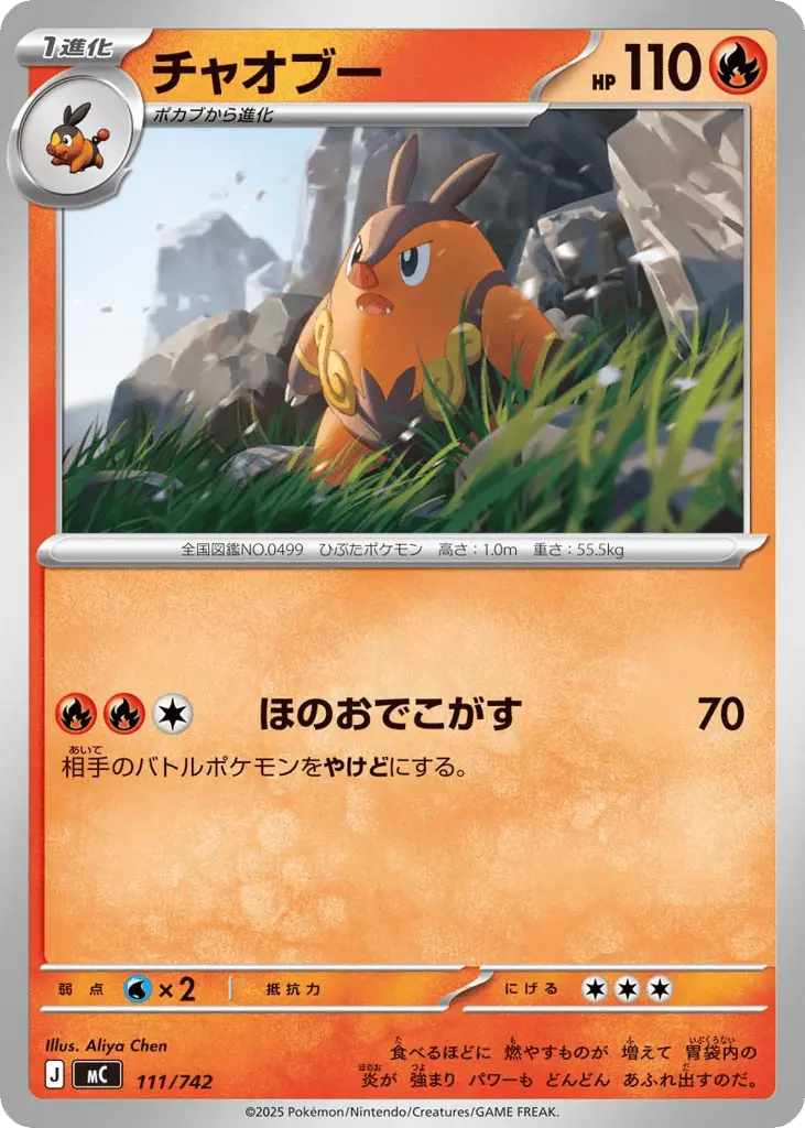 Pignite [Mirror Holo]