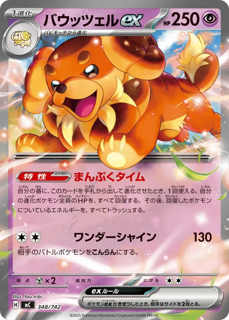 Dachsbun ex [Mirror Holo]