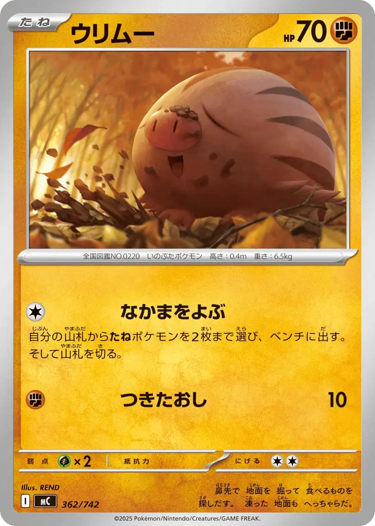 Swinub [Mirror Holo]