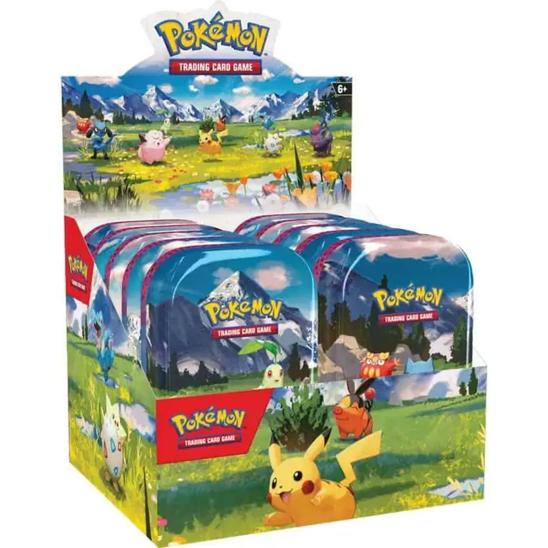 Mini Tin Display
