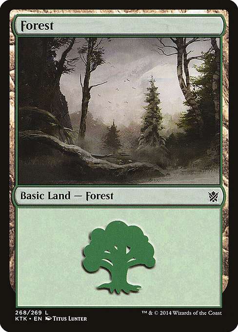 Forest [Foil]