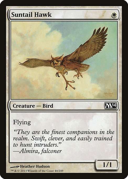 Suntail Hawk [Foil]