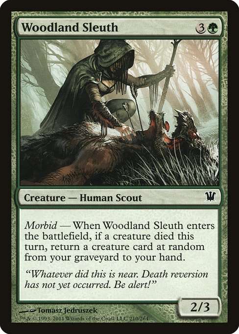 Woodland Sleuth [Foil]