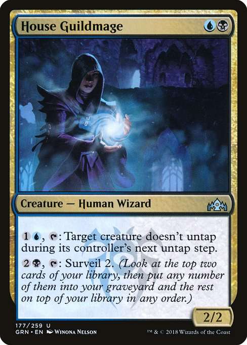 House Guildmage [Foil]