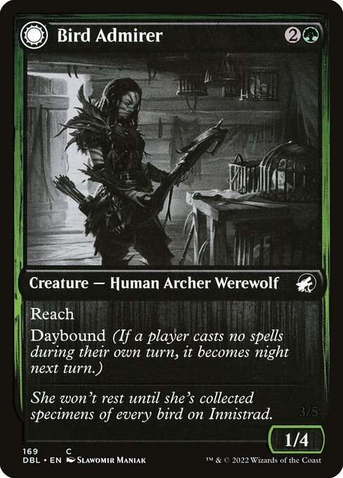 Bird Admirer // Wing Shredder [Foil]