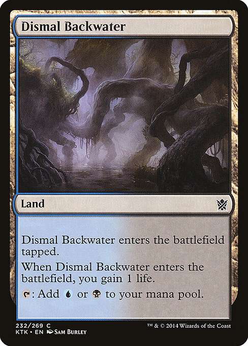 Dismal Backwater [Foil]