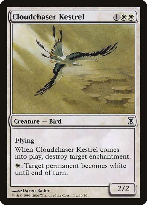 Cloudchaser Kestrel [Foil]