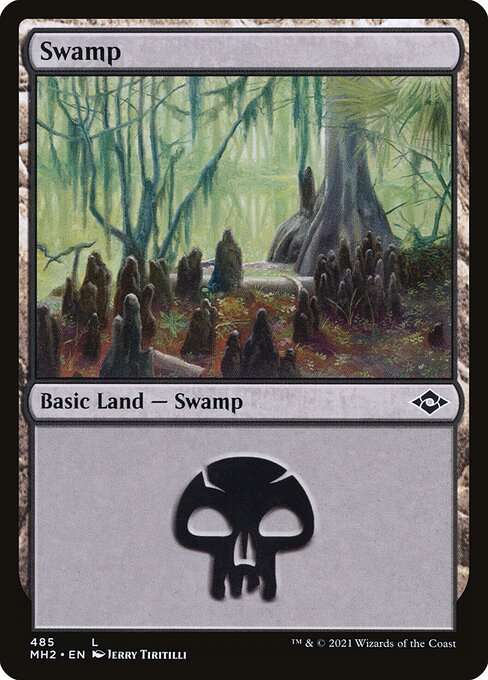 Swamp [Etched]