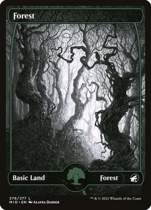 Forest [Foil]