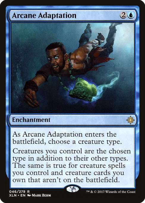 Arcane Adaptation [Foil]