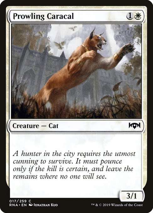 Prowling Caracal [Foil]