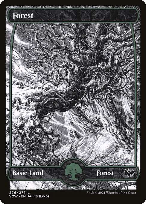 Forest [Foil]