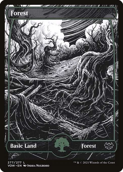 Forest [Foil]