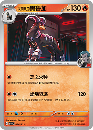Team Rocket's Houndoom