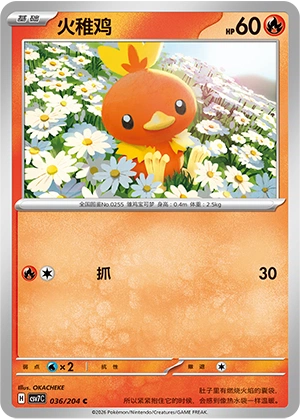Torchic