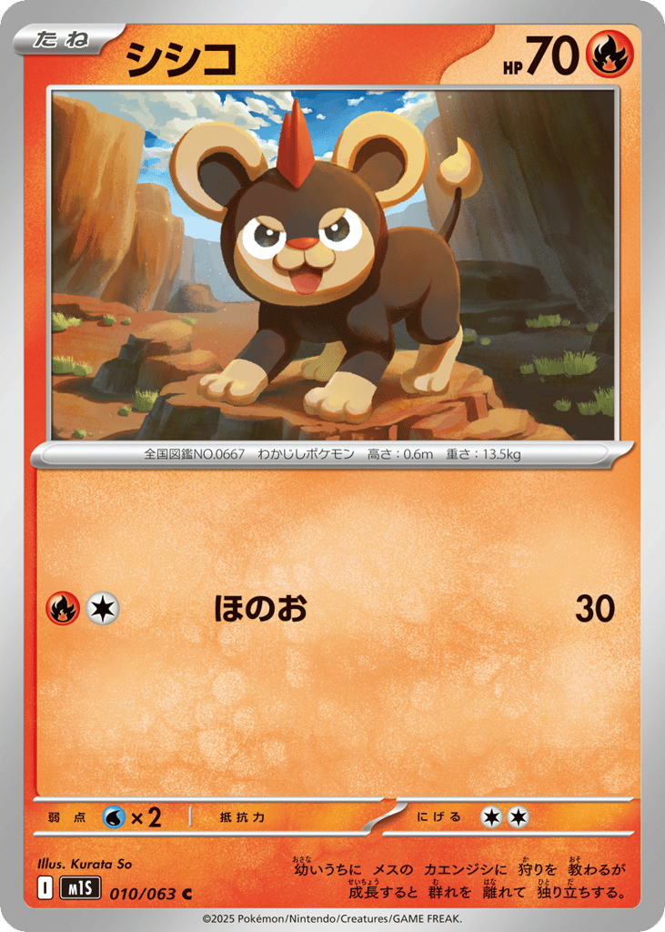 Litleo