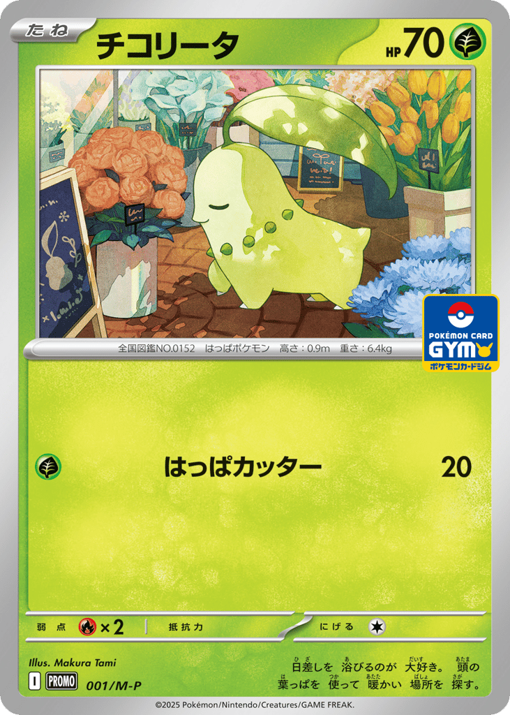 Chikorita
