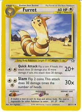 Furret