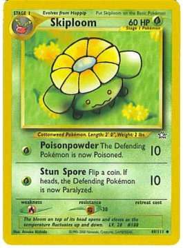Skiploom