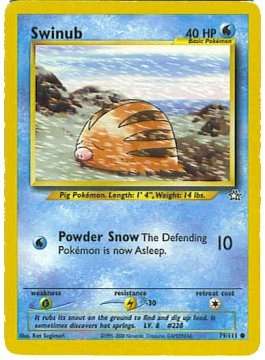 Swinub